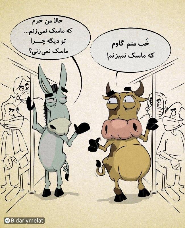 خر و گاوی که ماسک نمی زنند در قاب یک تصویر! خر و گاوی که ماسک نمی زنند در قاب یک تصویر!