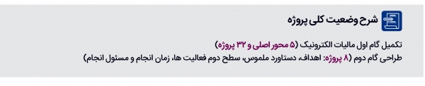 نمای جدی دولت الکترونیک در سامانه مالیات الکترونیک