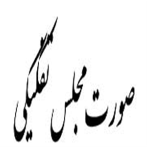استفاده صورت مجلس تفکیکی چیست؟