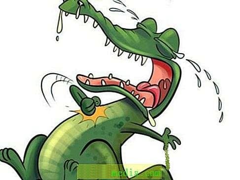 تنهایی تمساح دریاچه!
