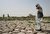 برنامه‌های بلندمدت استانداری خراسان جنوبی برای مقابله با خشکسالی