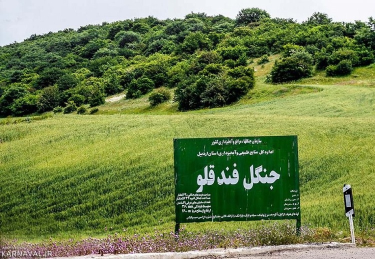 جنگل‌های فندقلو در حوزه استحفاظی اداره کل منابع طبیعی و آبخیزداری استان اردبیل است