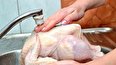 هشدار علوم پزشکی به آلودگی احتمالی گوشت مرغ به کیست نسجی اووسیت