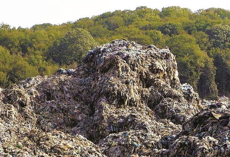 ۲۰ هکتار از جنگل‌های گیلان به کوه زباله تبدیل شده است!
