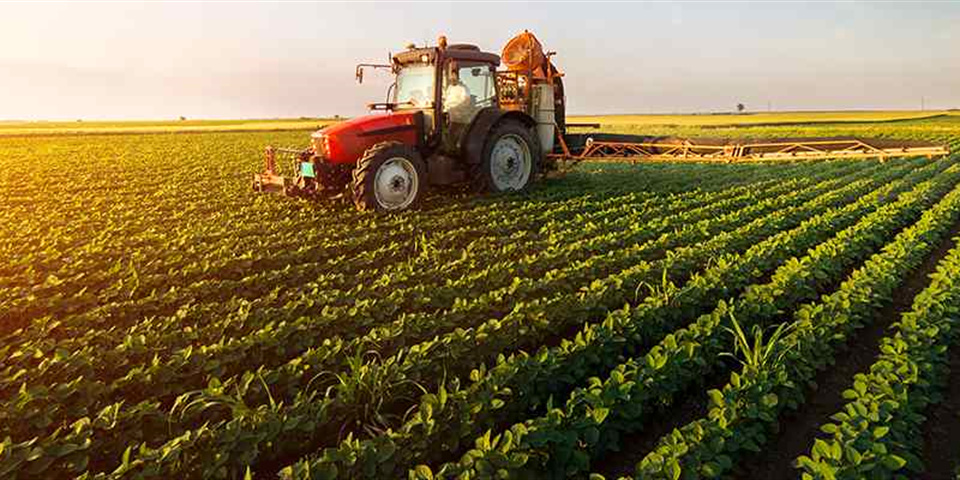 تصویب طرح «تقویت امنیت غذایی و رفع موانع تولیدات کشاورزی»