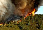 سوختن جنگل‌های چهارمحال‌وبختیاری در آتش کمبود تجهیزات