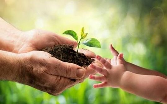 تدوین برنامه های آموزشی در دوران پساکرونا