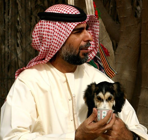 نگهداری سگ در کشور‌های حاشیه خلیج فارس چگونه است؟