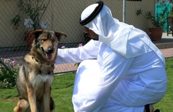 نگهداری سگ در کشور‌های حاشیه خلیج فارس چگونه است؟