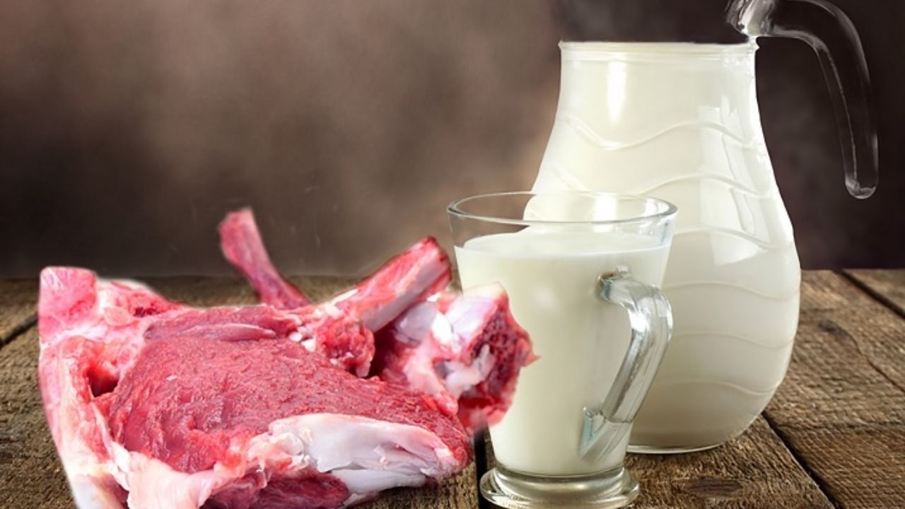 افزایش چشمگیر هزینه تولید گوشت و شیرخام