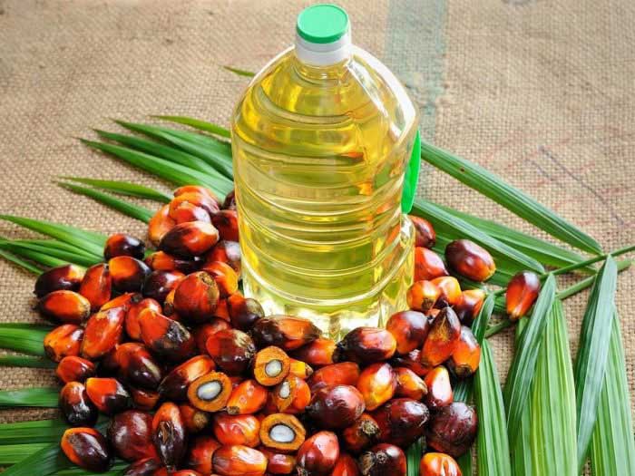 آزمایش تشخیص پالم در روغن‌های سرخ کردنی