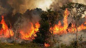 ناکارآمدی‌ها در اطفای آتش‌سوزی در جنگل‌های ارسباران