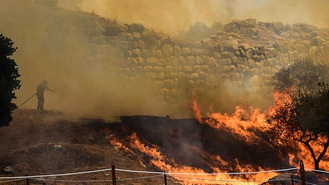 خطر انقراض گونه‌های جانوری و گیاهی در پی آتش‌سوزی‌های جنگلی