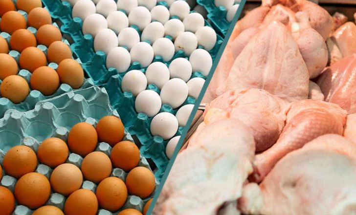 مشکل کمبود مرغ تا آبان برطر میشود مشکل کمبود مرغ تا آبان برطر میشود