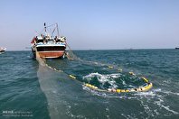 تلاش مافیای سازمان شیلات برای نابودی ذخایر دریا