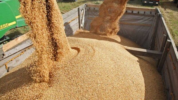 نظرات دکتر نجاتی در خصوص مدیریت چالش‌های صنعت دام توسط دولت