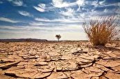 ۹۱ درصد مساحت استان گلستان دچار خشکسالی شدید است