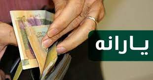 تاکید بر اجرای قانون هدفمندی یارانه و کارشناسی آن