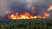 آتش‌سوزی جنگل‌ها و تهدید آینده حیات بشر در کره خاکی