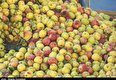 دپو شدن سیب تولیدی آذربایجان‌غربی کنار جاده