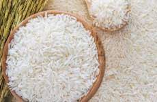 دلالان در کمین بازار برنج مازندران