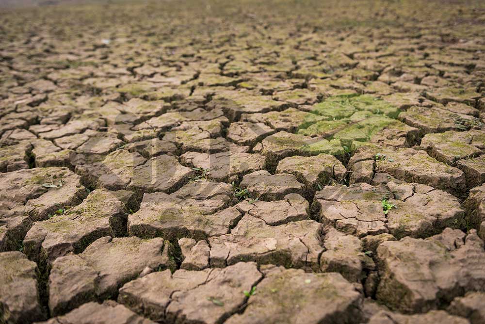 میزان فرسایش خاک در لرستان سه برابر متوسط کشور است
