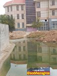 انسداد لوله فاضلاب این منطقه را لجن زار کرده است