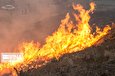 درخواست سازمان محیط‌زیست برای پیشگیری از آتش‌سوزی جنگل‌ها