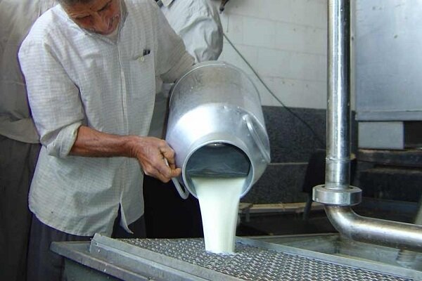 ادعای تخلف‌های چندگانه در تعامل شرکت شیر پگاه آذربایجان شرقی با دامداران