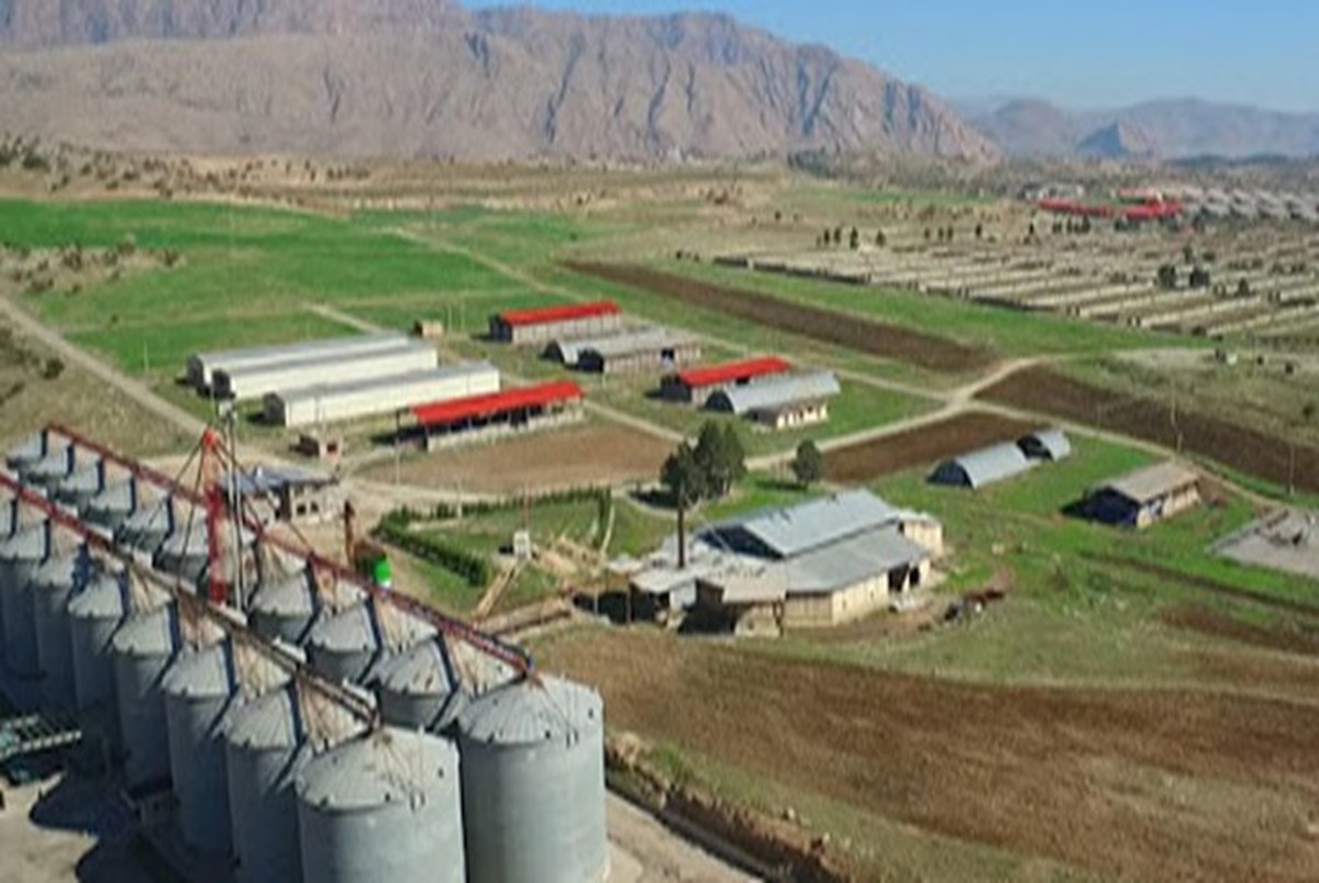 تجمع کارگران کشت و صنعت لرستان در اعتراض به اعلام شرایط جدید کارفرما برای تمدید قرارداد‌ها
