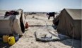 چادر نشینی موقت کارگران فصلی در هشتبندی