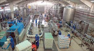 ۱۰ درصد شیر کشور در واحد‌های دامی بنیاد مستضعفان تولید می‌شود
