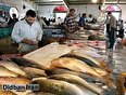 تداوم زنجیره گرانی‌ها با افزایش احتمالی قیمت ماهی در مهر و آبان سال جاری + کجایی عبدالملکی با افزایش حقوق ۵۷ درصدی؟