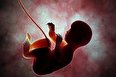آمار علوم پزشکی: ده هزار سقط جنین قانونی از بین ۵۰۰ هزار سقط جنین رخ داده در کشور
