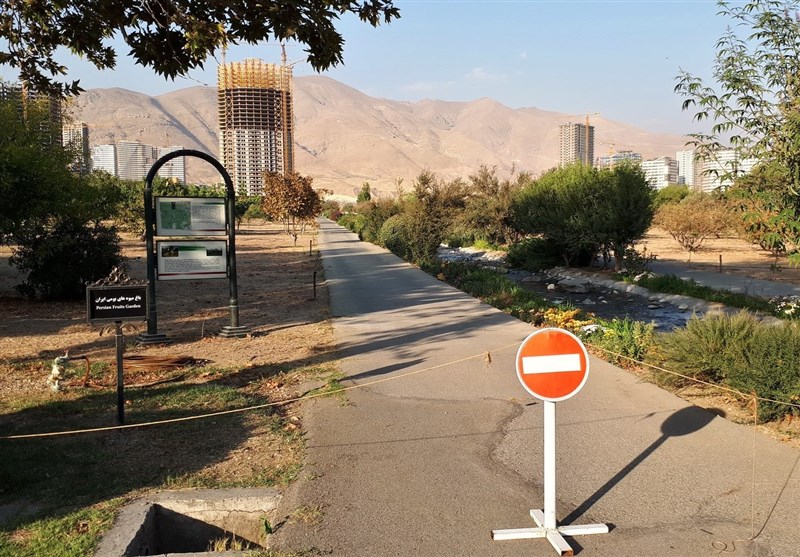 درخواست رسیدگی قضایی به پرونده ساخت و ساز در حریم باغ ملی گیاه شناسی تهران