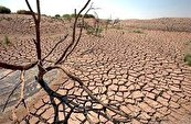 فراگیری خشکسالی در ۸۰ درصد پهنه سرزمینی کشور