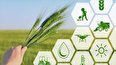 اعلام اولویت‌های بخش کشاورزی به شرکت‌های دانش‌بنیان تا سه ماه آینده