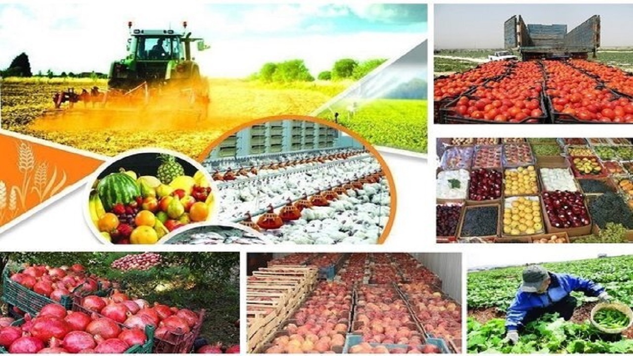 سهل انگاری در حوزه غذایی کنار گذاشته شود
