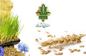 بدهی پنج هزار میلیاردی صندوق بیمه به کشاورزان و وعده‌های وزیر جهادکشاورزی و رئیس سازمان برنامه؟!