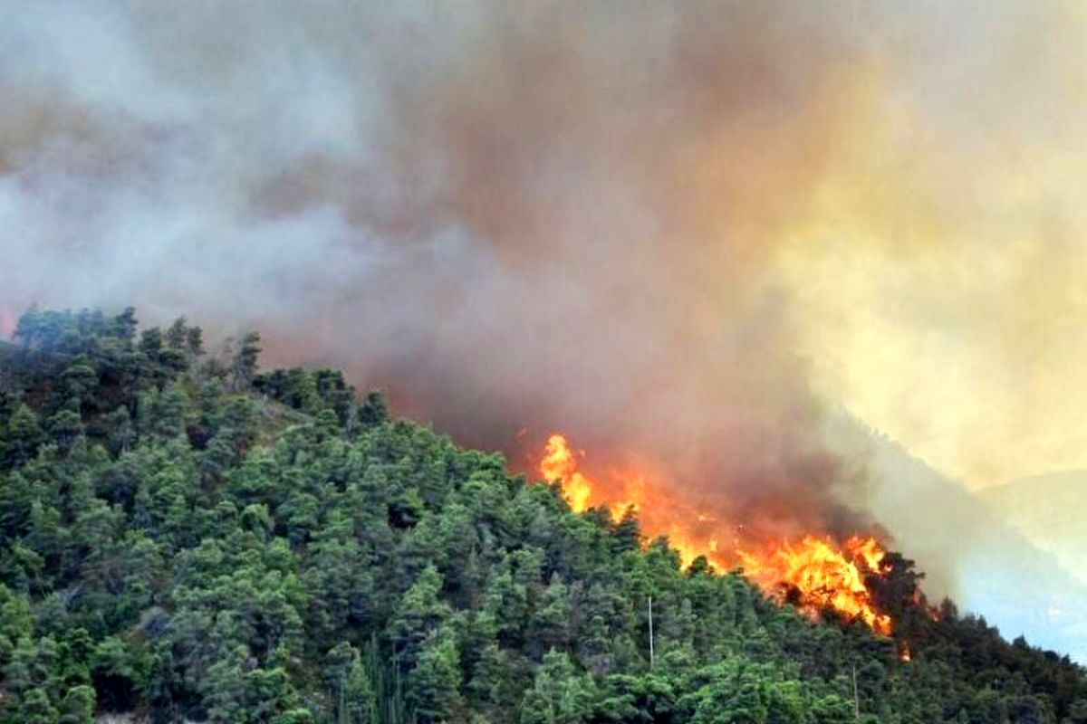 جنگل‌های هیرکانی گیلان همچنان در آتش می سوزد