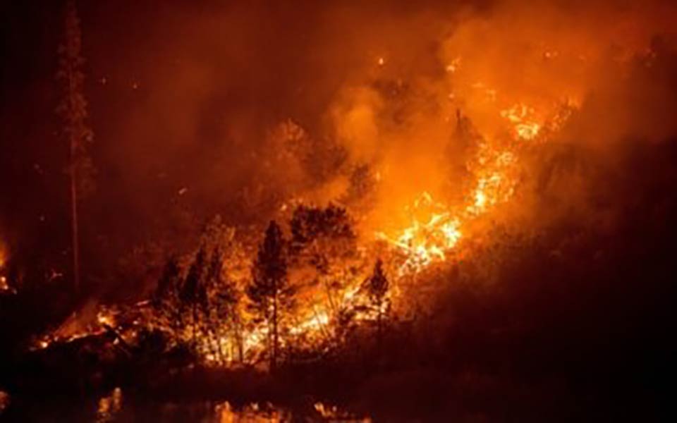 جنگل‌های هیرکانی گیلان همچنان در آتش می سوزد