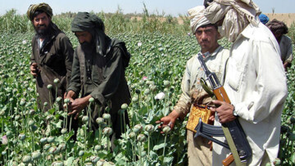 ایران می‌تواند شاهرگ مالی طالبان یعنی صادرات مواد مخدر را قطع کند؛ این مهمترین ضعف آن‌هاست