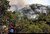 روایتی از آتش سوزی ۳۴ ساعته جنگل های مریوان