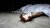 رواج خودکشی در ساختمان‌های مسکن مهر پردیس؛ پرواز ابدی از ارتفاعات «کوزو»