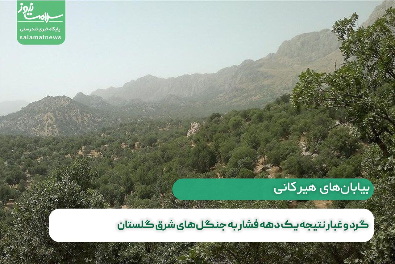 گرد و غبار نتیجه یک دهه فشار به جنگل‌های شرق گلستان