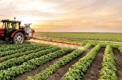 برنامه برای کشاورزی قراردادی یا آرزو تحقق تدریجی کشاورزی قراردادی ؟