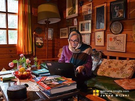 از فنلاند تا فریدونکنار؛ قصه مادر درناهای میانکاله از امید تا رویا