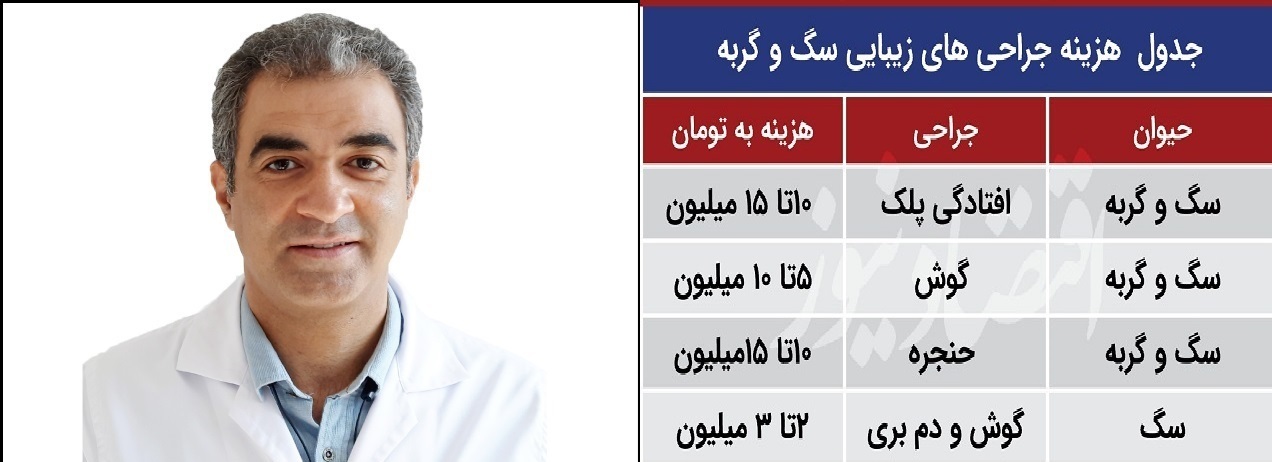 تعرفه گذاری یا سلیقه گرایی و درخواست هزینه‌های عجیب برای درمان سگ، گربه و پرنده‌های خانگی +سند