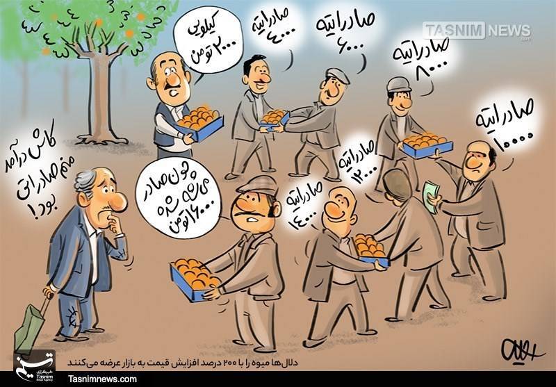 سبقت ناگهانی هلو ‌‌از گوشت؛ دلایل افزایش قیمت میوه + آیا کسانی در وزارت جهادکشاورزی از این آشفته بازار منتفع هستند؟
