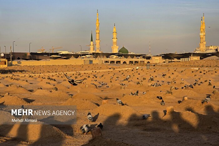 کاروان عمره دانشگاهیان